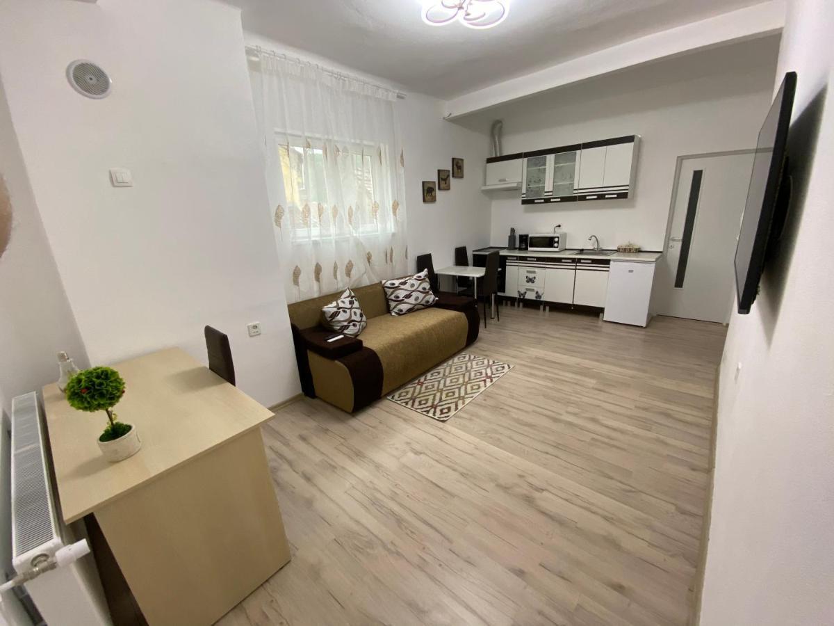 Centralhome Ap1 Sighişoara Exterior foto